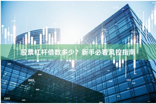 股票杠杆倍数多少？新手必看风控指南